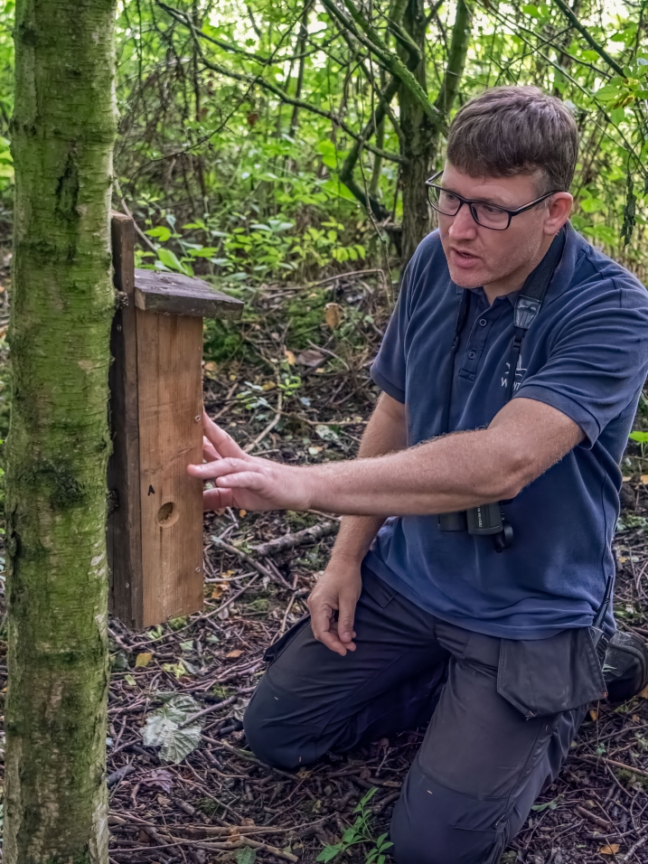 WWT Washington willow tit Reserve Warden Andrew Diamond (19).jpg